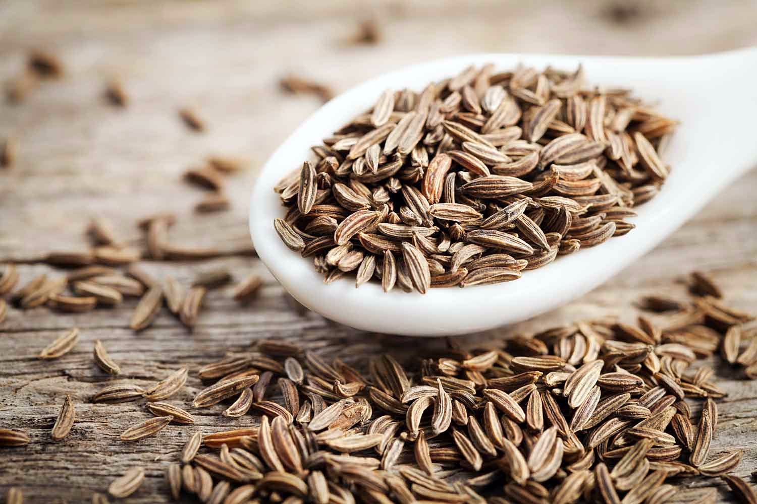Premium Cumin Seeds Export